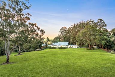 House For Sale - QLD - Montville - 4560 - A Private Lifestyle Retreat, Minutes to Montville! (Image 2)