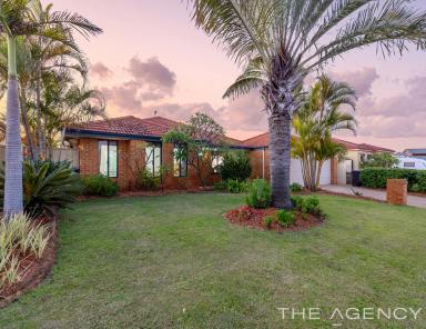 House For Sale - WA - Canning Vale - 6155 - PARKSIDE RENOVATED Family Living with Pool... NEW PRICE!!!  (Image 2)