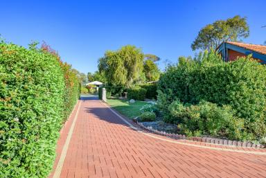 House For Sale - WA - Midland - 6056 - Charming Midland Retreat Awaits You  (Image 2)