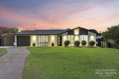 House For Sale - WA - Noranda - 6062 - PARKSIDE PEARLER ON PARKINSON! (Image 2)