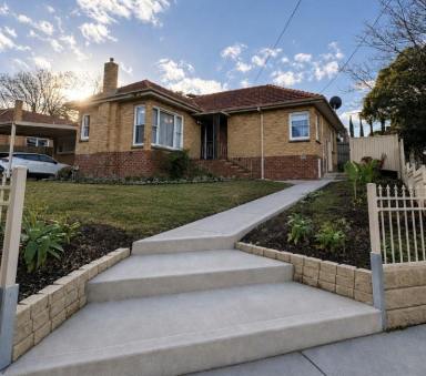 House For Lease - VIC - Balwyn - 3103 - 4 bedroom home in quiet Balwyn location (Image 2)