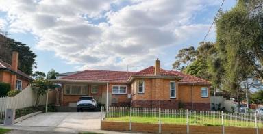 House For Lease - VIC - Balwyn - 3103 - 4 bedroom home in quiet Balwyn location  (Image 2)