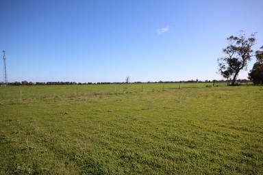 Residential Block For Sale - VIC - Lockington - 3563 - BUILD YOUR DREAM LIFESTYLE ON 2,214 m²  (Image 2)