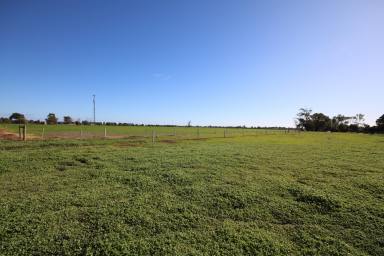 Residential Block For Sale - VIC - Lockington - 3563 - BUILD YOUR DREAM LIFESTYLE ON 1,911 m²  (Image 2)