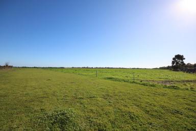Residential Block For Sale - VIC - Lockington - 3563 - BUILD YOUR DREAM LIFESTYLE ON 2,232m² ON EDGE OF LOCKINGTON  (Image 2)