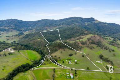 Other (Rural) Sold - NSW - Singleton - 2330 - Glenhilver – 110 Acres of Peace, Water & Natural Beauty  (Image 2)