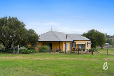 Other (Rural) For Sale - NSW - Singleton - 2330 - Glenhilver – 110 Acres of Peace, Water & Natural Beauty  (Image 2)