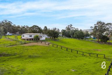 Acreage/Semi-rural For Sale - NSW - Jerrys Plains - 2330 - Small Acreage | Big Lifestyle Appeal | Town Water Connected (Image 2)