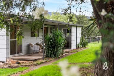 Acreage/Semi-rural For Sale - NSW - Jerrys Plains - 2330 - Small Acreage | Big Lifestyle Appeal | Town Water Connected (Image 2)
