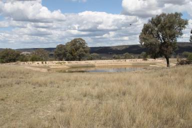 Other (Residential) For Lease - NSW - Mudgee - 2850 - "WILGA" COOKS GAP - 340 HECTARES - 2 YEAR ROLLING LICENCE OPPORTUNITY  (Image 2)