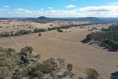 Other (Residential) For Lease - NSW - Mudgee - 2850 - "WILGA" COOKS GAP - 340 HECTARES - 2 YEAR ROLLING LICENCE OPPORTUNITY  (Image 2)