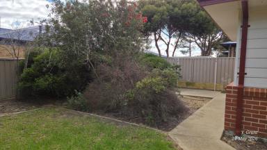 House For Lease - WA - Hopetoun - 6348 - Lovely family home with secure back yard  (Image 2)