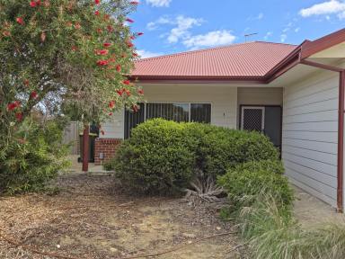 House For Lease - WA - Hopetoun - 6348 - Lovely family home with secure back yard  (Image 2)