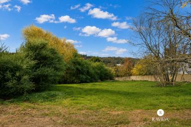 Residential Block For Sale - VIC - Beechworth - 3747 - Prime Land in Historic Beechworth! (Image 2)