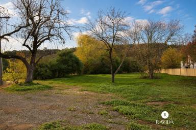 Residential Block For Sale - VIC - Beechworth - 3747 - Prime Land in Historic Beechworth! (Image 2)