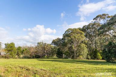 Residential Block For Sale - VIC - Badger Creek - 3777 - Approved Architectural Plans on a Stunning Acre Plus Allotment  (Image 2)