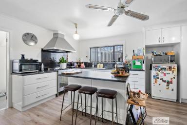 House For Sale - TAS - Havenview - 7320 - Big Block, Bigger Opportunity (Image 2)