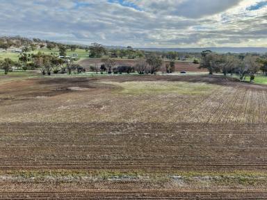 Residential Block For Sale - WA - York - 6302 - Build Your Rural Dream – Just 4km from York (Image 2)