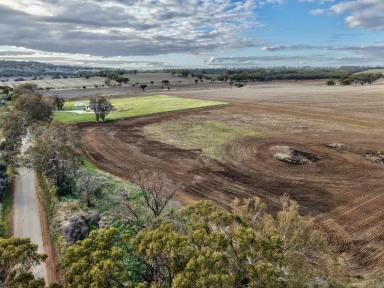 Residential Block For Sale - WA - York - 6302 - Build Your Rural Dream – Just 4km from York (Image 2)
