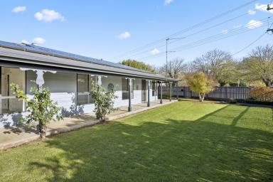 House For Sale - VIC - Camperdown - 3260 - MODERN, EASY LIVING IN A CONVENIENT LOCATION  (Image 2)