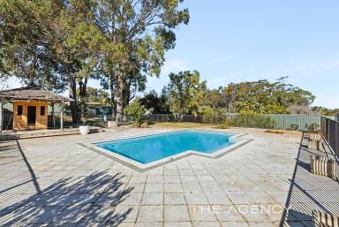 House For Sale - WA - Wanneroo - 6065 - HOME OPEN SATURDAY 11.45-12.15 - DON'T MISS OUT ON RARE WANNEROO ACREAGE! (Image 2)