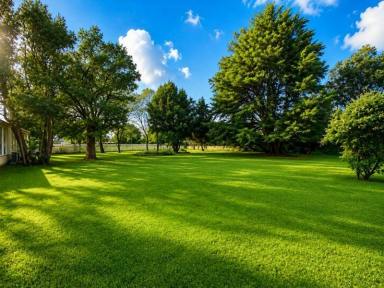 Residential Block Sold - WA - Harvey - 6220 - Rare 2,023m² Lifestyle Block with Shed Walk to Town & Endless Potential (Image 2)