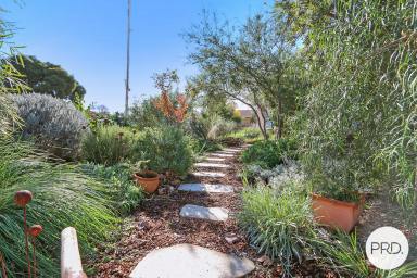 House For Sale - VIC - Wodonga - 3690 - A HOME WITH HEART, LIGHT & CHARACTER  (Image 2)