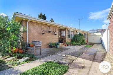House For Sale - VIC - Wodonga - 3690 - A HOME WITH HEART, LIGHT & CHARACTER  (Image 2)