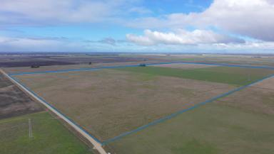 Mixed Farming For Sale - SA - Struan - 5271 - Lot 147 Hoods Lane, Struan. (Image 2)
