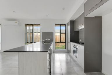 House For Lease - QLD - Helidon - 4344 - Modern Family Home in Helidon (Image 2)