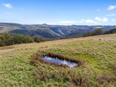 Lifestyle For Sale - TAS - Wilmot - 7310 - Lovely Scenic Block (Image 2)