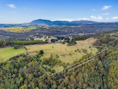 Lifestyle For Sale - TAS - Wilmot - 7310 - Lovely Scenic Block (Image 2)