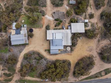 House For Sale - SA - Holder - 5330 - Home, Guest House & Income Potential on 12.5 Acres Near the Murray River (Image 2)