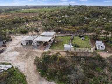 House For Sale - SA - Holder - 5330 - Home, Guest House & Income Potential on 12.5 Acres Near the Murray River (Image 2)