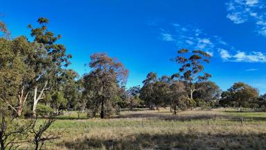 Acreage/Semi-rural For Sale - WA - Mariginiup - 6078 - Rare Lifestyle Retreat  (Image 2)