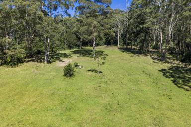 Lifestyle For Sale - NSW - Foxground - 2534 - 'The Ridge Farm' (Image 2)