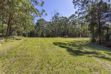 Lifestyle For Sale - NSW - Foxground - 2534 - 'The Ridge Farm' (Image 2)