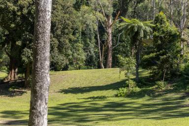 Lifestyle For Sale - NSW - Foxground - 2534 - 'The Ridge Farm' (Image 2)
