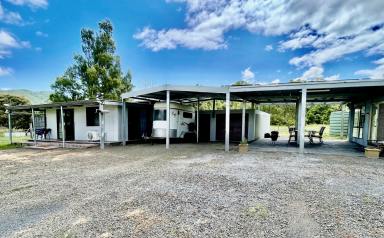 Acreage/Semi-rural For Sale - NSW - Mount George - 2424 - Dual-Living Lifestyle Acreage with Established Income  (Image 2)