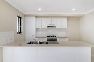 House For Lease - QLD - Wyreema - 4352 - Spacious Modern Family Home in Wyreema (Image 2)