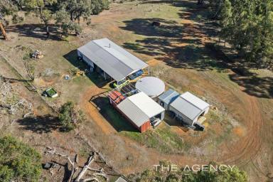 House For Sale - WA - Gidgegannup - 6083 - 50 Acres of Pure Possibility  (Image 2)