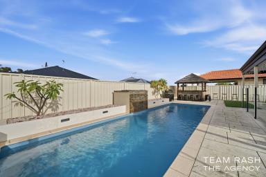 House For Sale - WA - Banksia Grove - 6031 - Outdoor Luxury Meets Modern Family Living (Image 2)