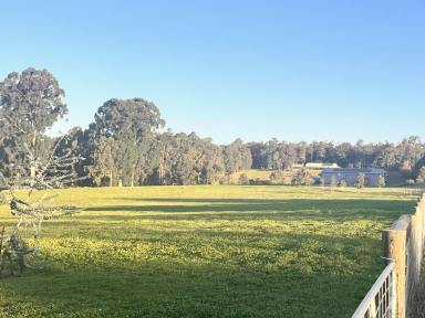 Lifestyle Sold - WA - Dwellingup - 6213 - RARE 11 ACRES CLEARED LAND, OFF GRID SET UP IN DWELLINGUP 90 MINS FROM PERTH  (Image 2)