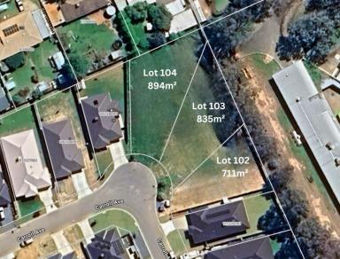 Residential Block For Sale - NSW - Jindera - 2642 - Premium Residential Land - 5 Lots Now Selling in Jindera Park  (Image 2)