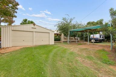 House For Sale - VIC - Red Cliffs - 3496 - TOP QUALITY HOBBY FARM (Image 2)