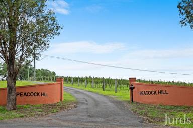 Lifestyle Sold - NSW - Pokolbin - 2320 - Peacock Hill (Image 2)