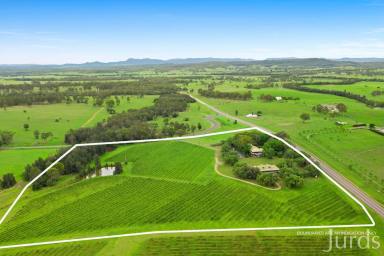 Lifestyle Sold - NSW - Pokolbin - 2320 - Peacock Hill (Image 2)