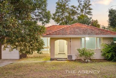 House For Sale - WA - Girrawheen - 6064 - Renovated & Ready + R20/40 Potential (Image 2)