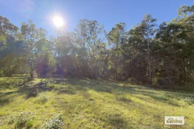 Residential Block For Sale - QLD - Glenwood - 4570 - SPACE, PRIVACY & POTENTIAL  (Image 2)
