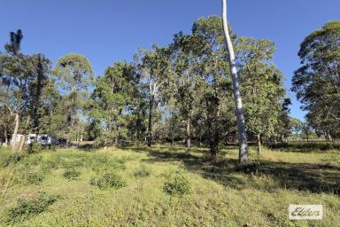 Residential Block For Sale - QLD - Glenwood - 4570 - SPACE, PRIVACY & POTENTIAL  (Image 2)